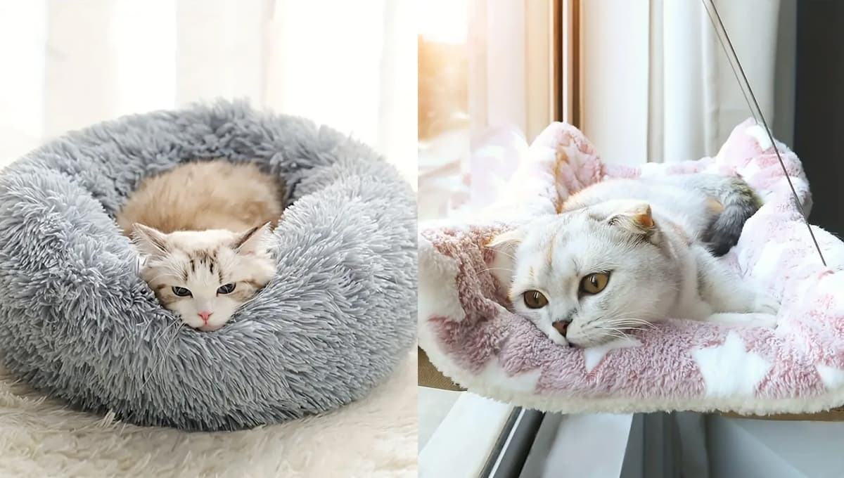 Camas para gato: 5 opciones bonitas que puedes comprar en Temu por menos de 150 pesos