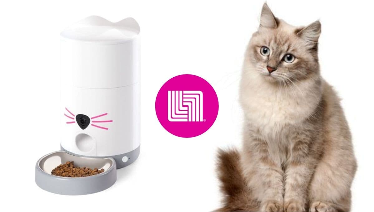 Liverpool pone en REMATE el mejor comedero automático para gato Zoopet