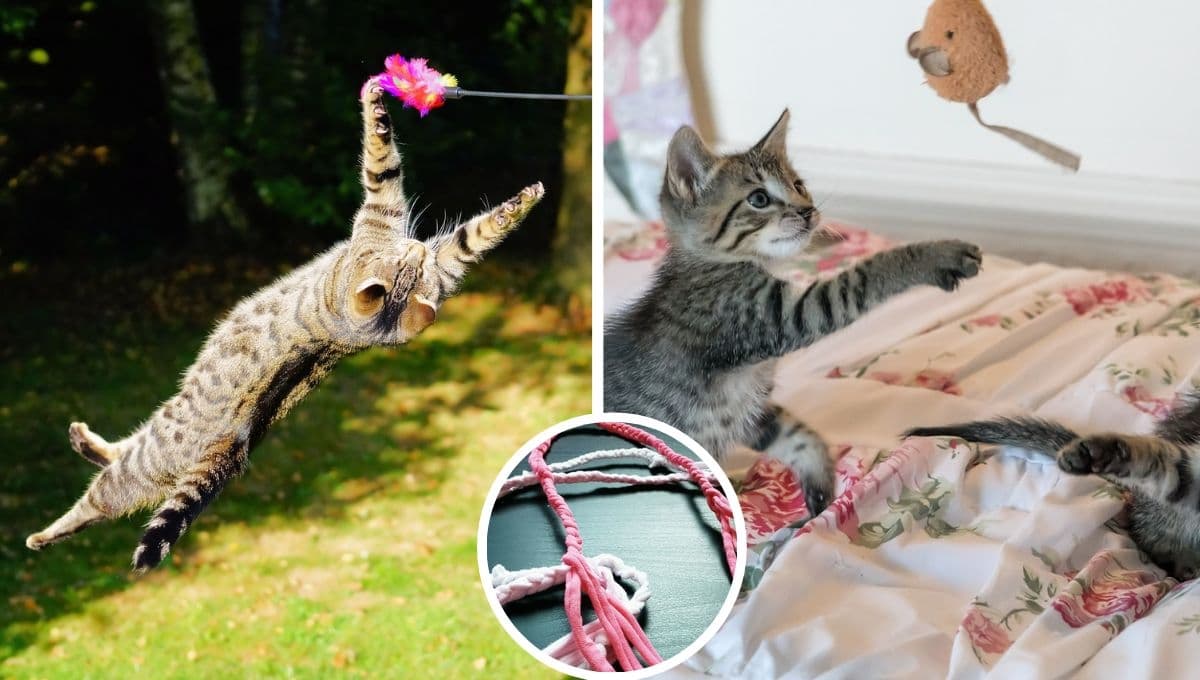 ¿Cómo hacer un juguete casero y fácil para gatos con ropa vieja? | Paso a paso