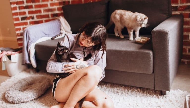¿Cómo sé si soy el humano de repuesto de mi gato?