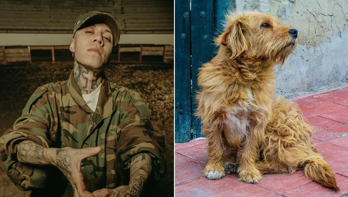 La vez que Santa Fe Klan le escribió una canción a un perro de su barrio