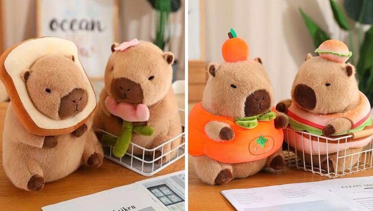 ¿Qué significa que te regalen un peluche de capibara?