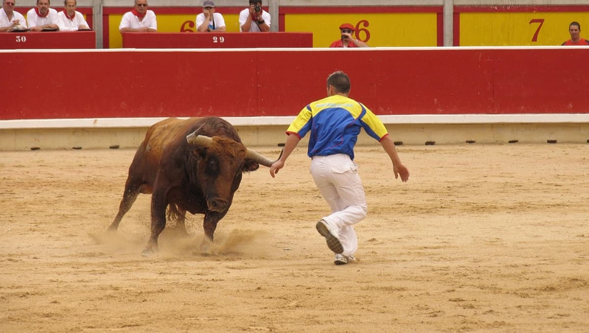 Aguascalientes declara corridas de toros Patrimonio Cultural, de cara a la Feria de San Marcos