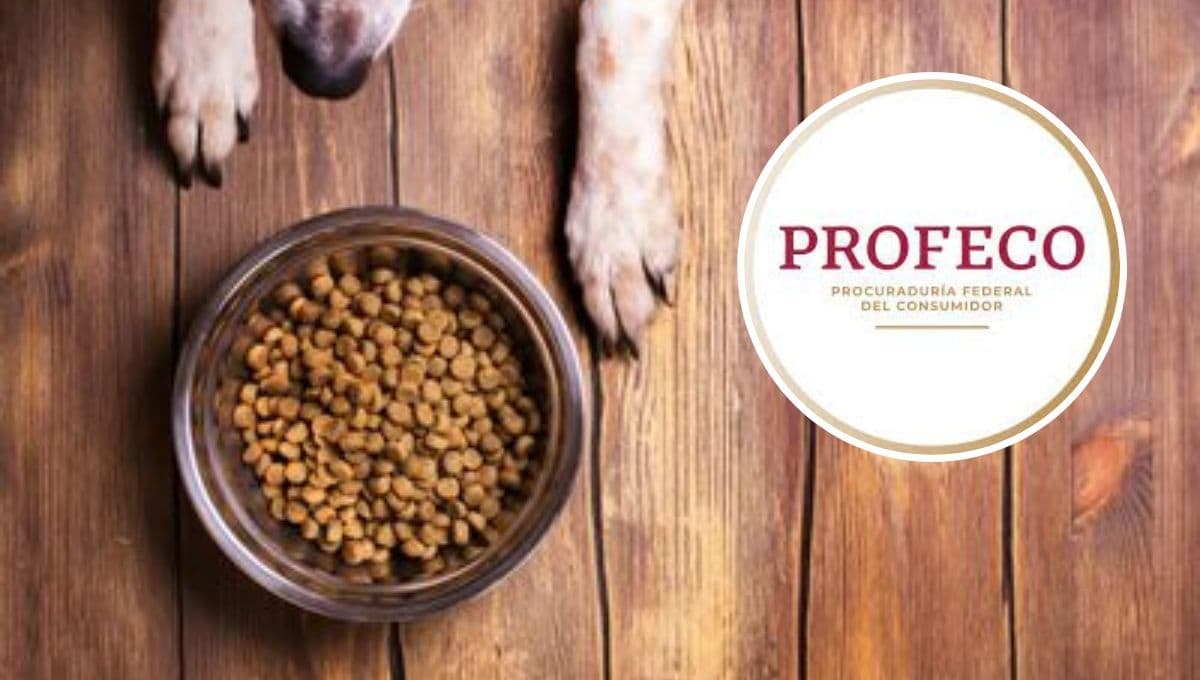 ¡Cuidado! Esta marca de croquetas para perro te vende MENOS de lo declarado, según la Profeco