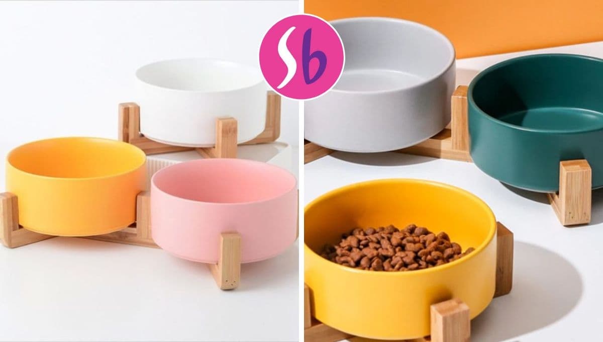 Suburbia pone en oferta 3 platitos para perros: bien bonitos y prácticos