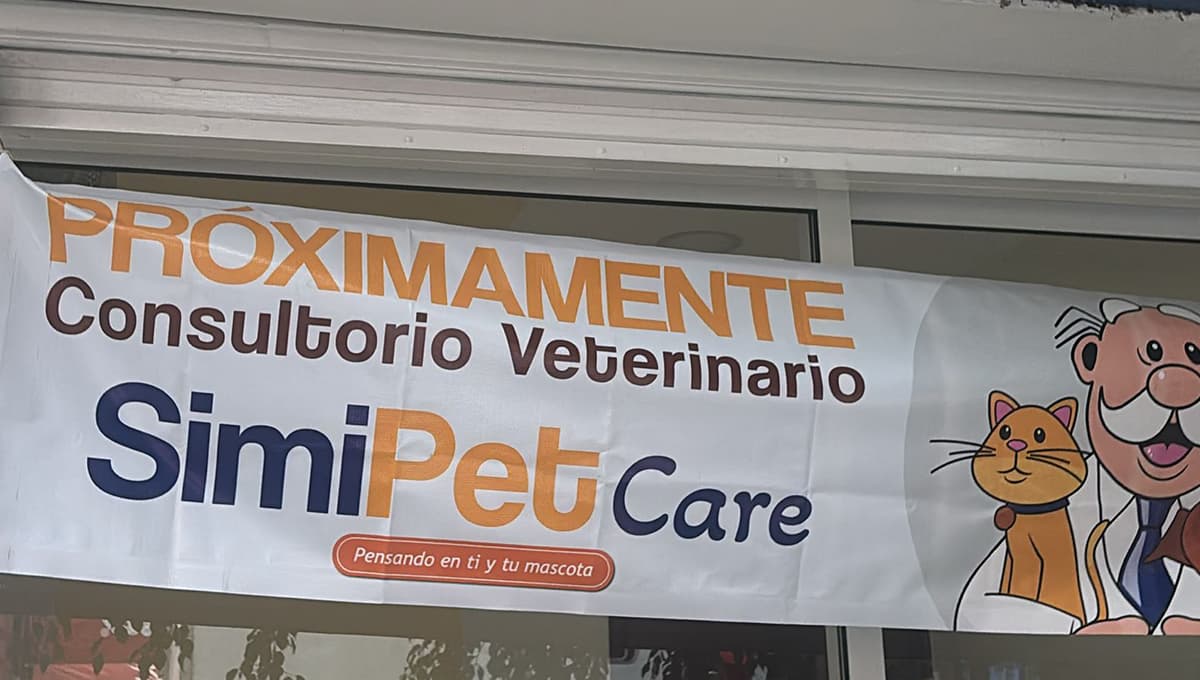 farmacias similares ofrece veterinarias simipet tendencias