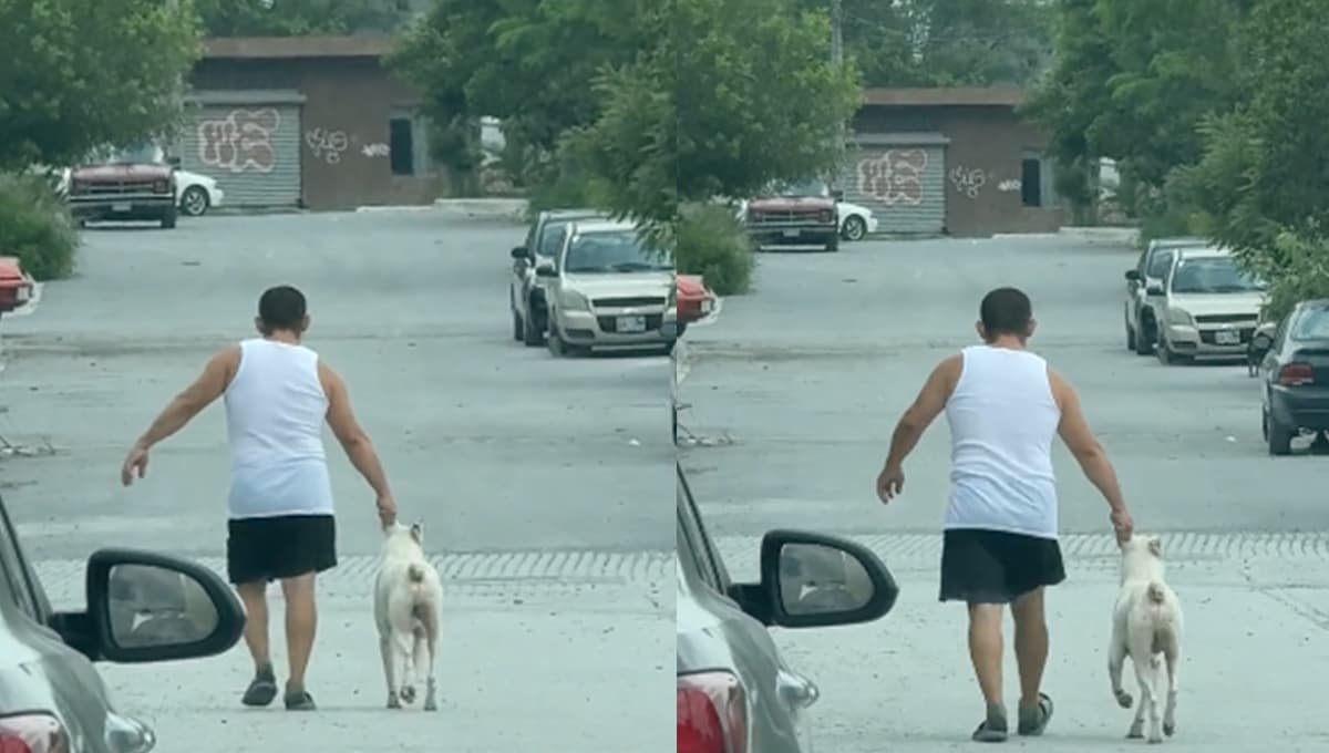 ¿Por irse de parranda? Captan a perrito REGAÑADO y llevado a casa