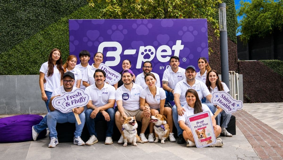 functional treats de b pet los premios para perro que ayudan su salud